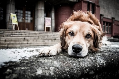 Looky_177234195672899 в LOOKY. . Абхазия,Пицунда
Пост...