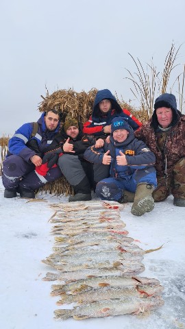nero_fish в LOOKY. #щука. Открылись по щуке,  ...
