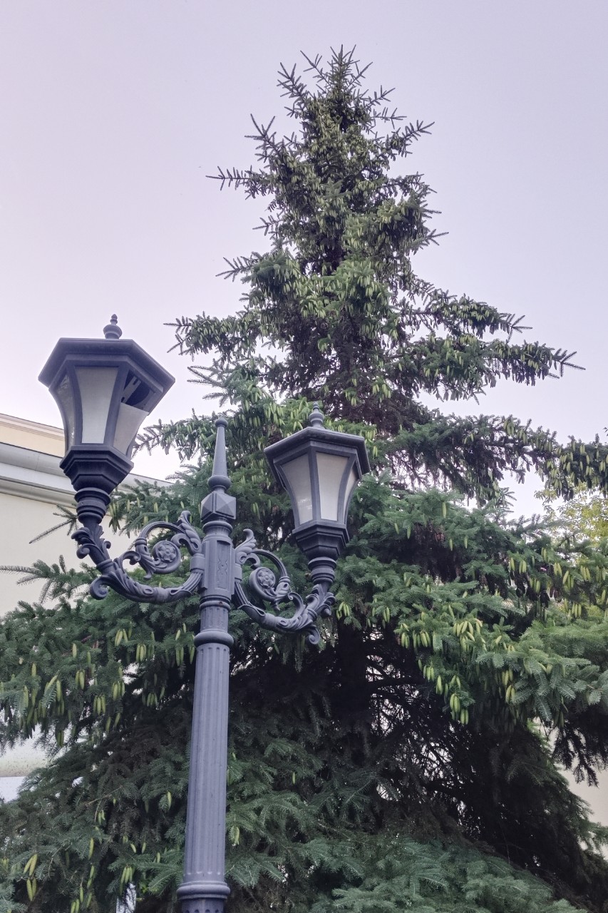 ольга парфенова в LOOKY — фото 2