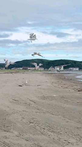 Оксана in LOOKY. . Наше море♥️