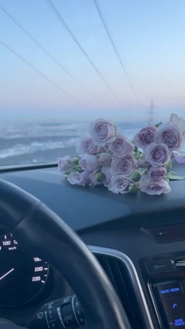 Looky_1709124207692 в LOOKY. . 