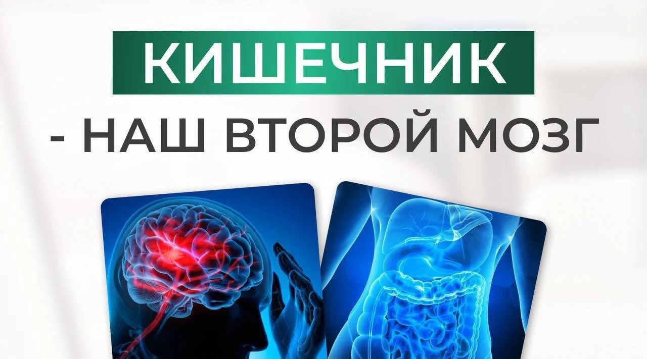 Tata19 в LOOKY — Удивительно, но около 90% серотонина вырабатывается именно в