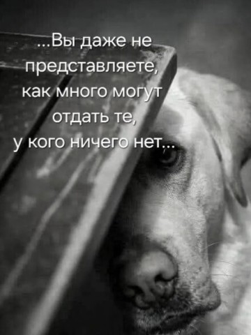 Looky_1716519175179 в LOOKY. . 