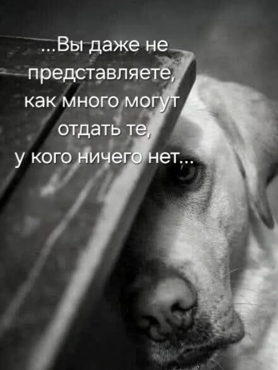  в LOOKY — публикация