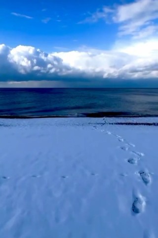 Looky_1698064660309 в LOOKY. . 