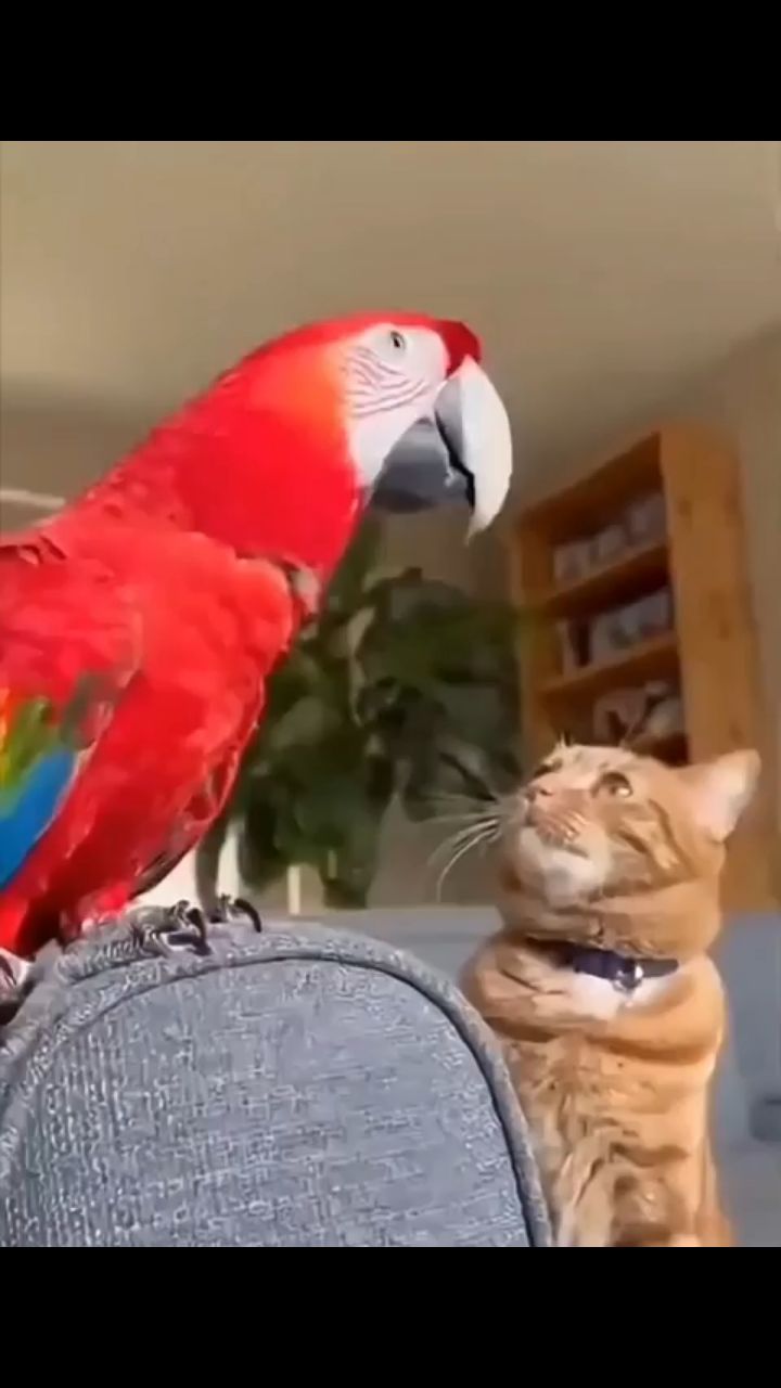 Александр в LOOKY. . 
