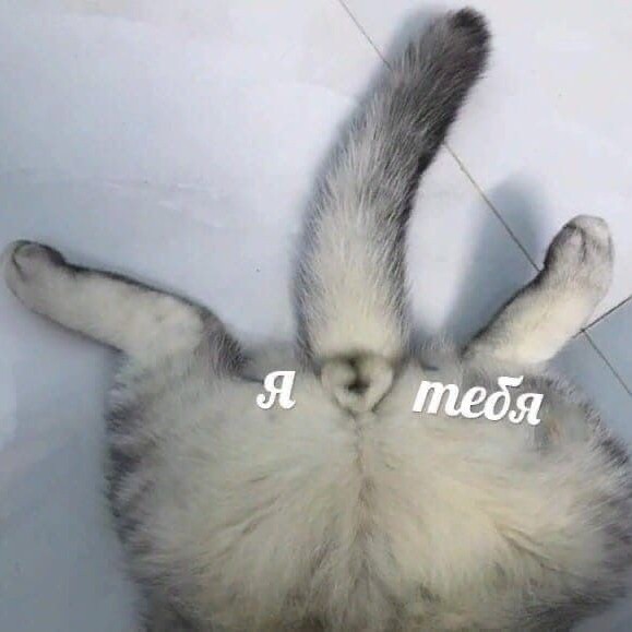 Юлия в LOOKY — публикация