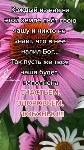Мила