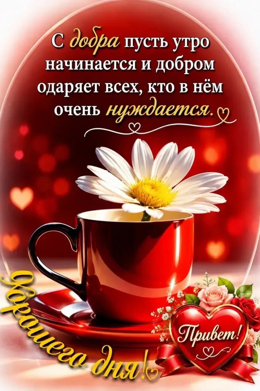 iri7254 в LOOKY — публикация