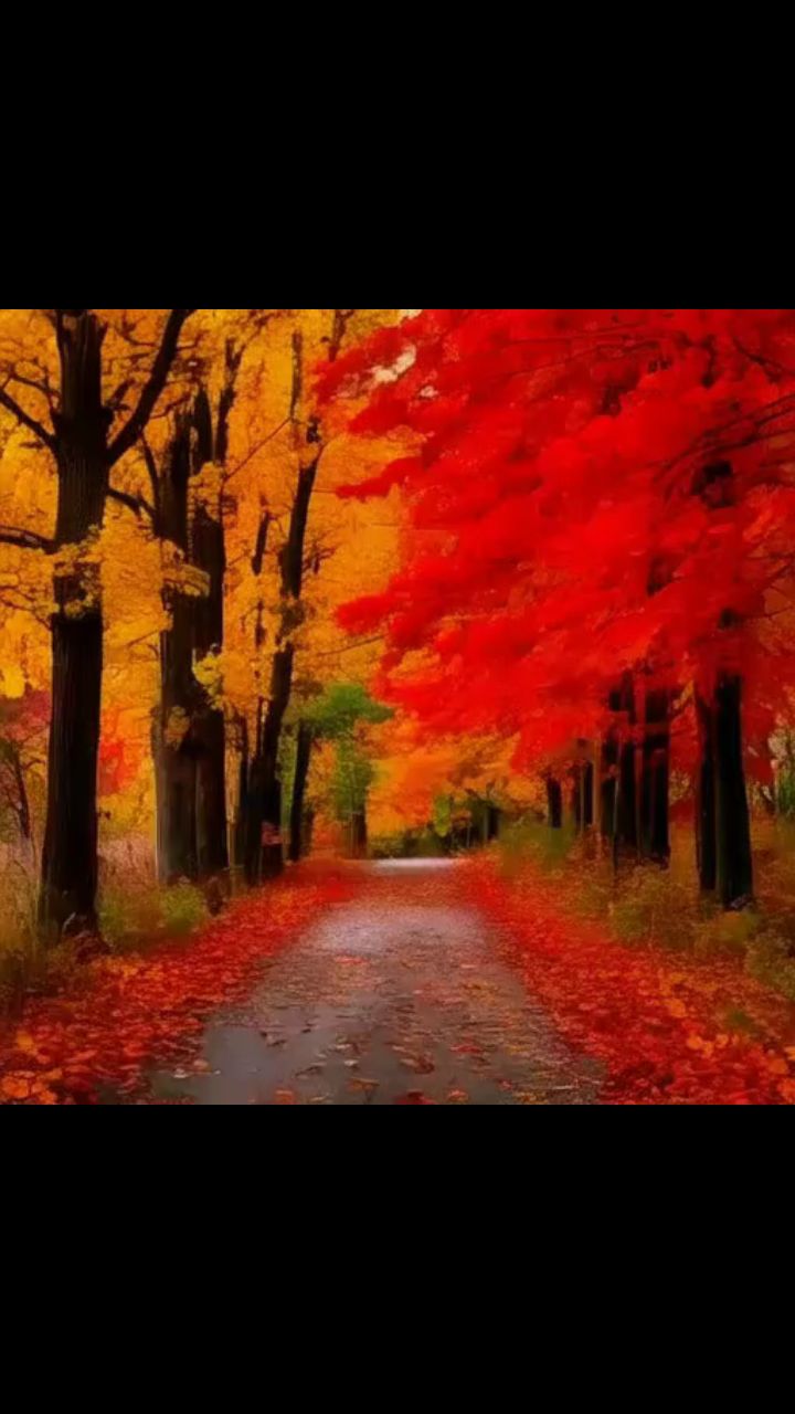 TatianaIss в LOOKY — Осень. 🍂