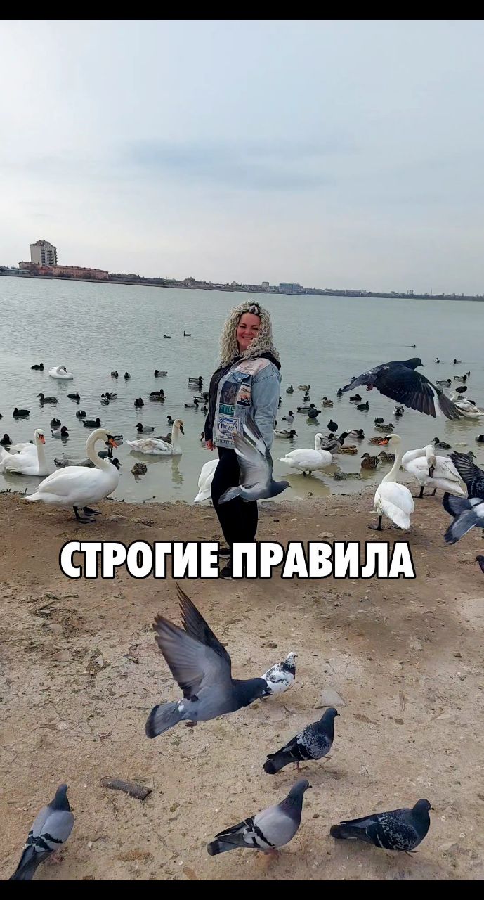 Автобродяги in LOOKY. #лебеди,#отдых,#автобродяги. Место в закладки - 
...