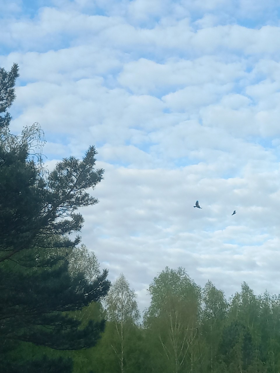 Утреннее небо