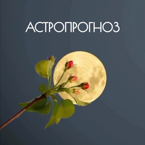 Инна Владимировна в LOOKY. . АСТРОПРОГНОЗ на четв...