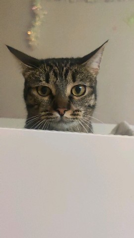 Юлия in LOOKY. . 