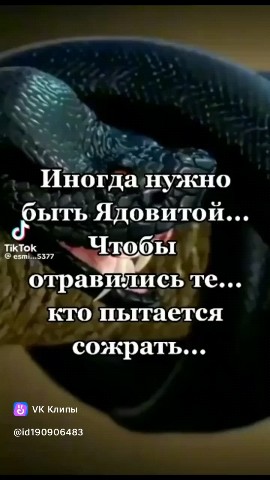 Юлия в LOOKY. ######₽. ######₽