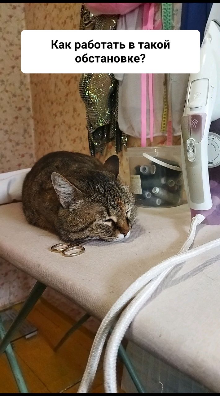 Madamhands в LOOKY. . Нет ну как работать ...