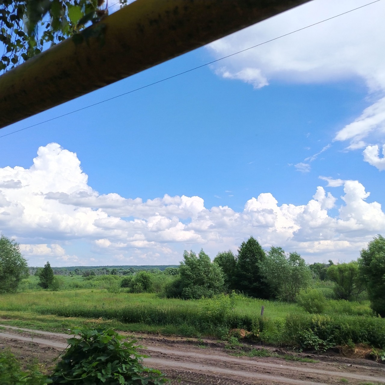 Вика Наумова в LOOKY — фото 1