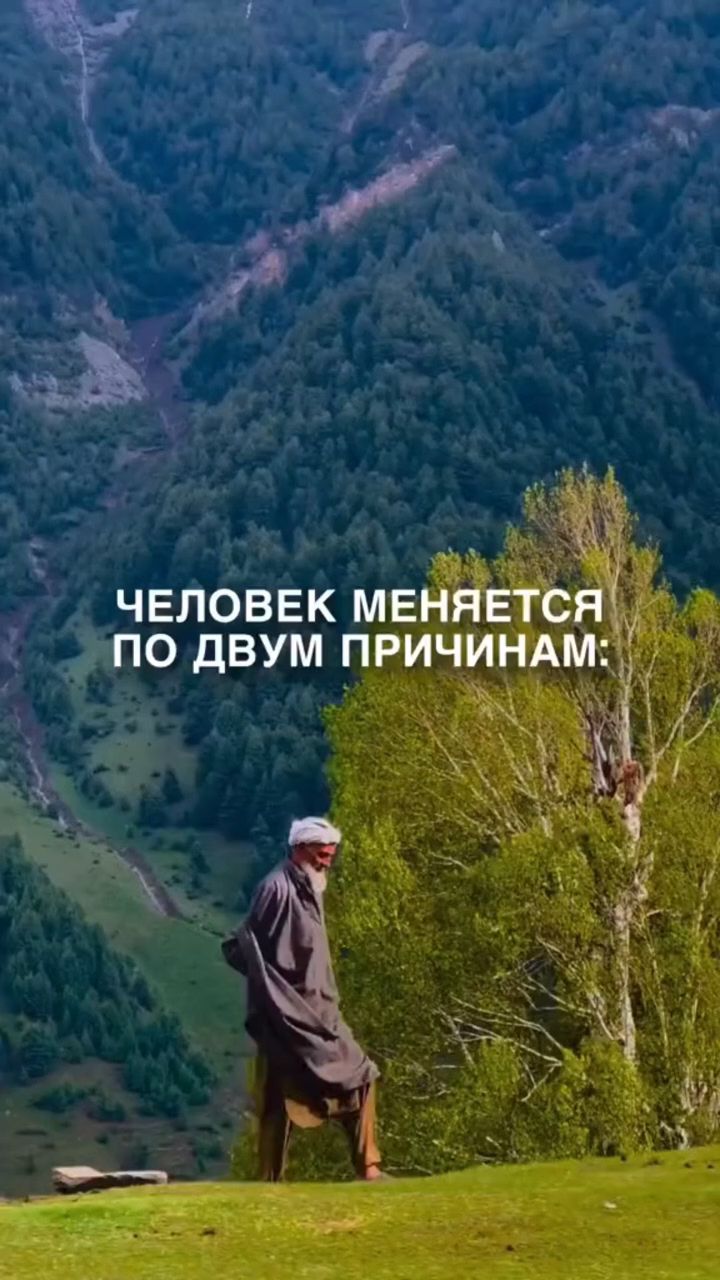 oks.nikiforova в LOOKY. . 