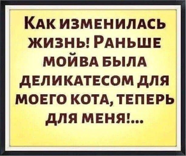 Tatiana Ubushaeva в LOOKY — публикация