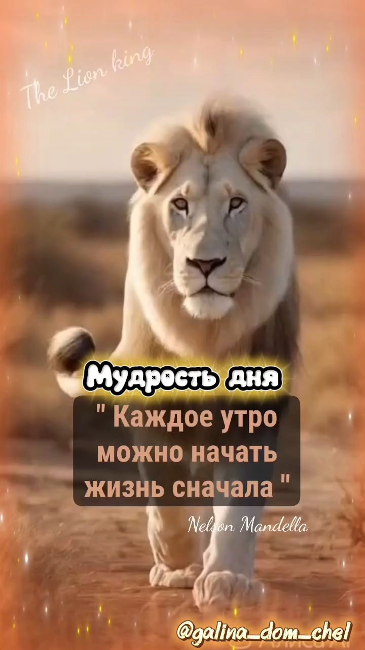 galina_dom_chel в LOOKY. #мудростьдня,#мудрыеслова,#мудрыемысли,#жизньпрекрасна,#житьжизнь,#живилегко,#жизненно,#жизньздесьисейчас,#живисрадостью,#живите,#жизньнеждёт,#жизньодна,#твояжизньтвойвыбор,#твояжизнь. Прошу вас, дорогие м...