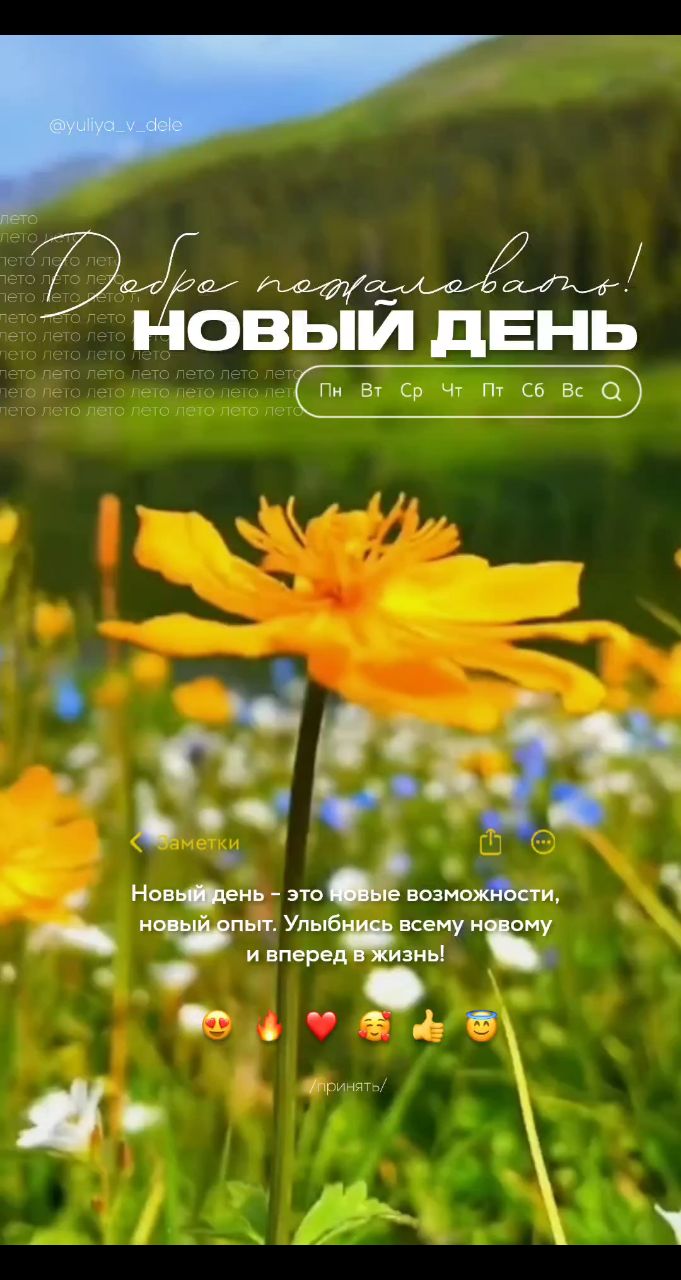 Looky_172619066705067 в LOOKY. . 