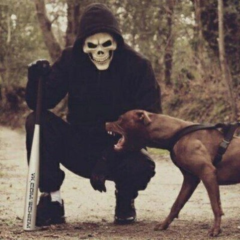 Looky_1699374041907 в LOOKY. . 👿👿👿