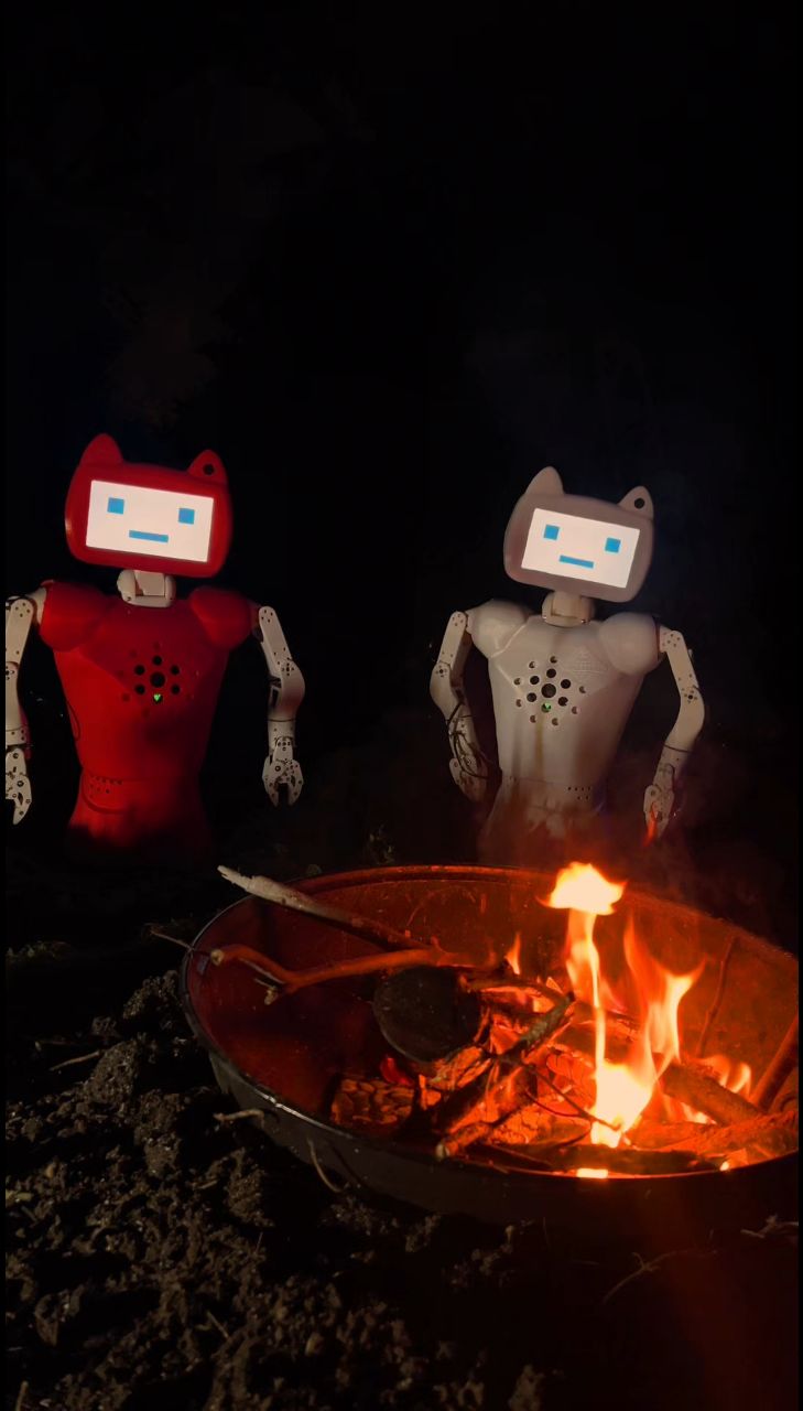 CRAZYBOTS в LOOKY. #робот,#роботы,#робототехника,#стартап,#robot,#robotics,#crazybots,#технологии,#ии,#ai. Роботы Chatty в режи...