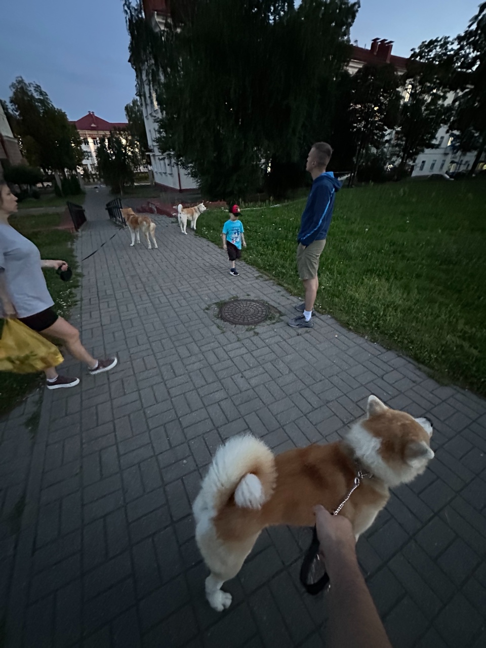 testirovanei в LOOKY — публикация