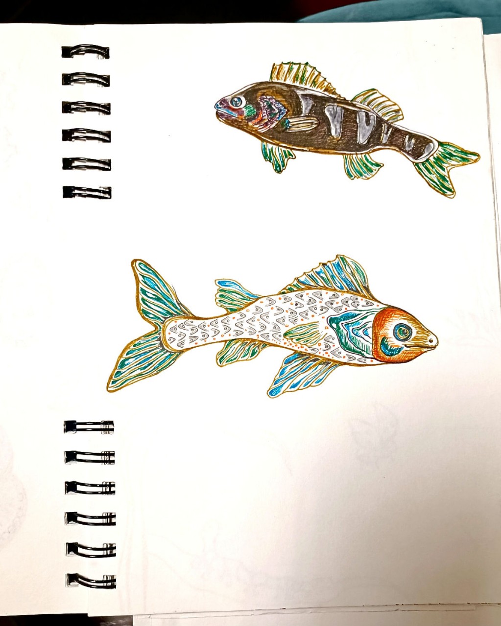 Irina Zorina в LOOKY — Цветные ручки#набросок#арт#draw#drawing#artist#fish#sea#cart