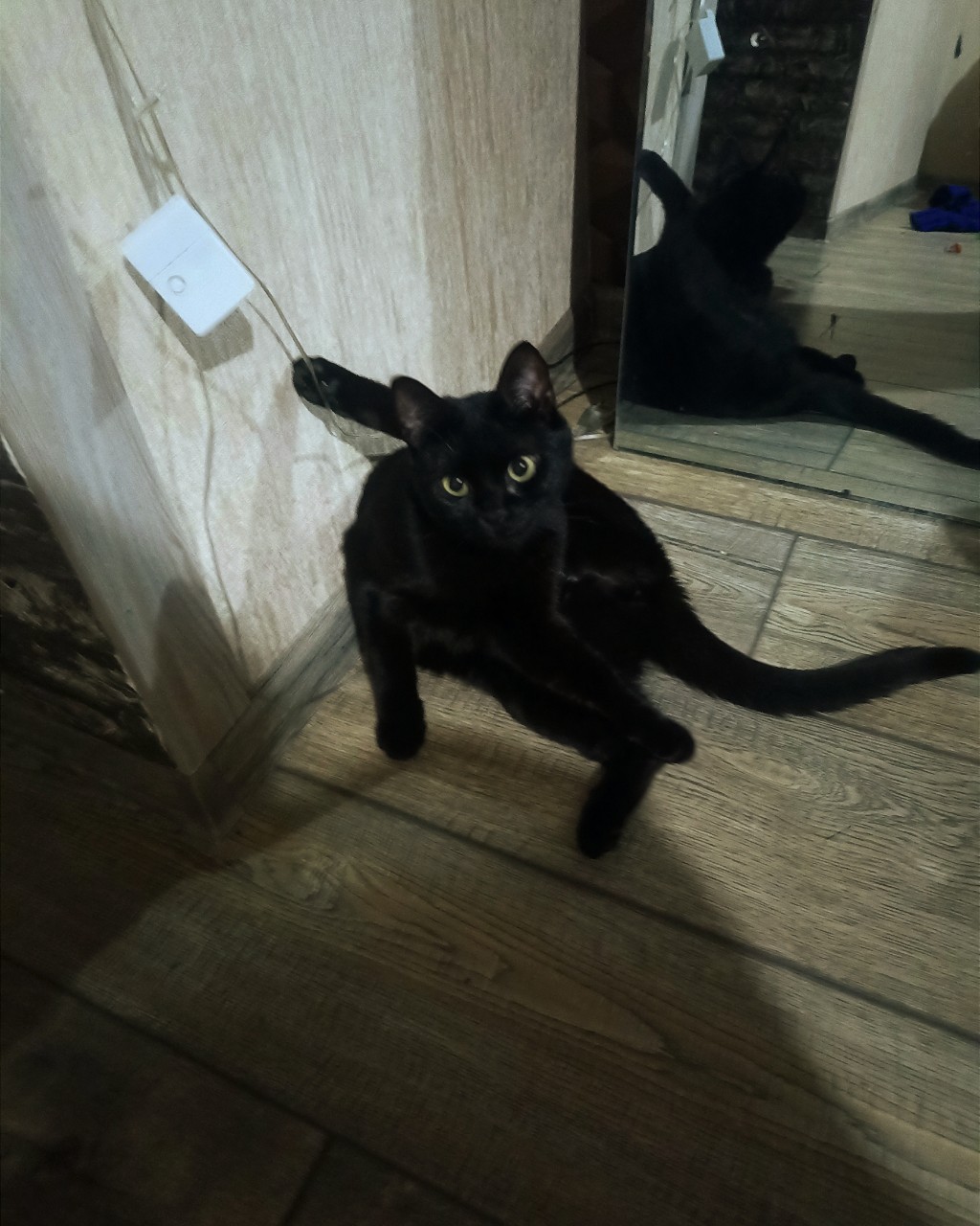 y_luna_666 в LOOKY — публикация