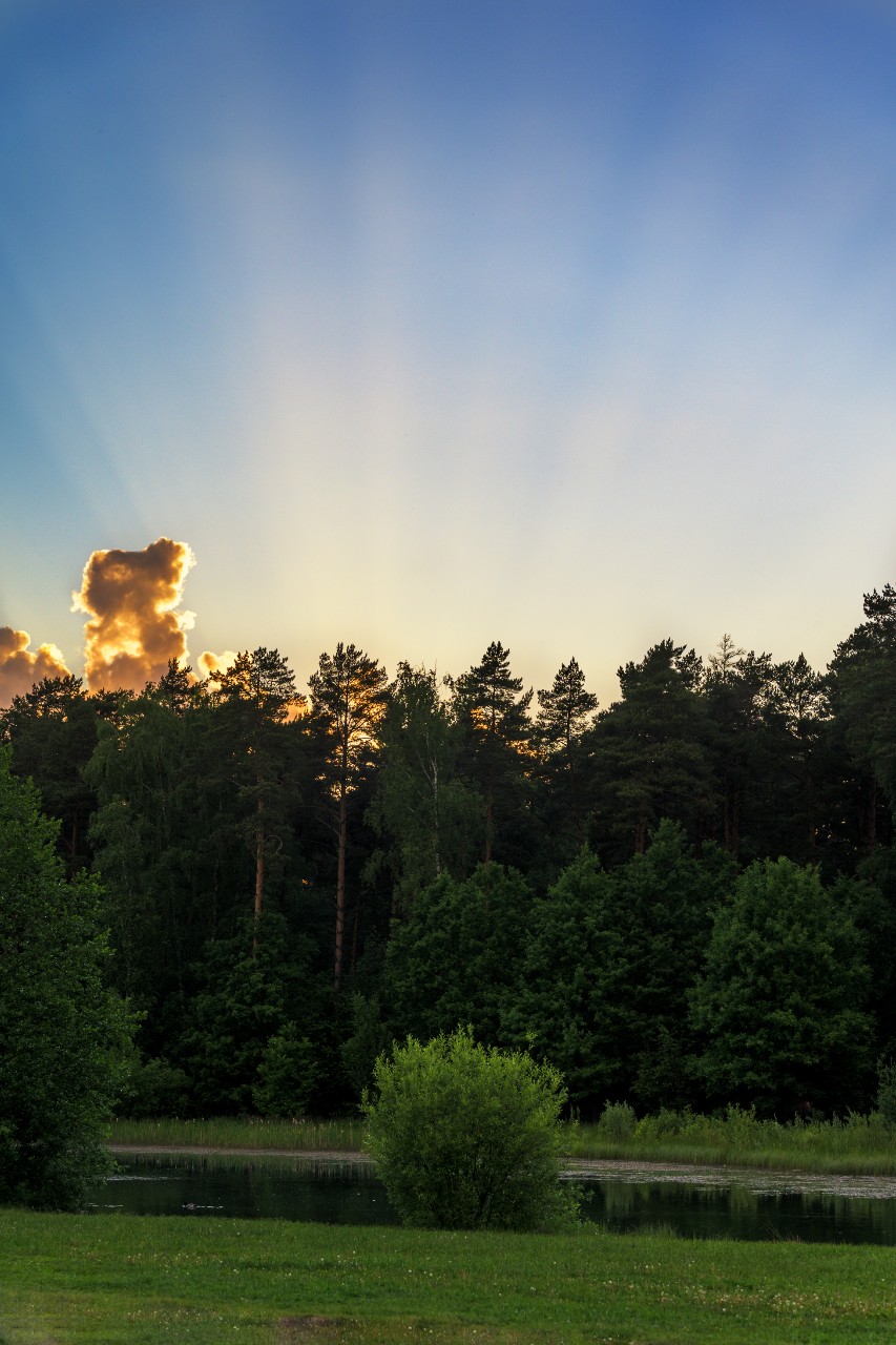 poboruev_landscape в LOOKY. #природа,#закат,#рассвет,#утро,#вечер,#небо,#лучи,#солнечныелучи,#лес,#лето,#весна,#фотоприроды,#природноефото. Лучистое...

#пейзаж...