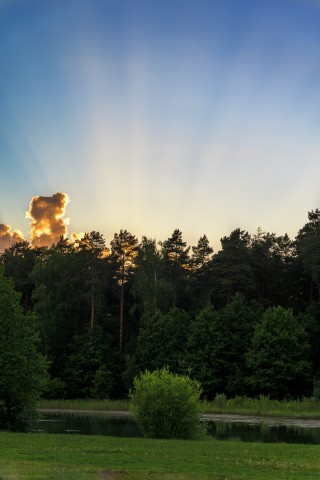 poboruev_landscape в LOOKY. #природа,#закат,#рассвет,#утро,#вечер,#небо,#лучи,#солнечныелучи,#лес,#лето,#весна,#фотоприроды,#природноефото. Лучистое...

#пейзаж...