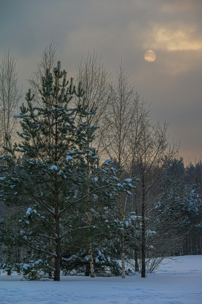 poboruev_landscape in LOOKY