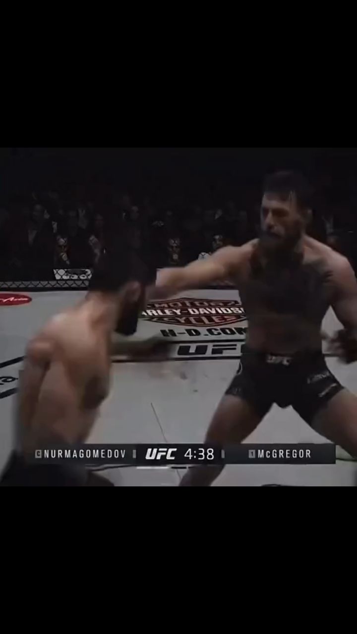 Arab в LOOKY. #UFC⚡. #UFC⚡