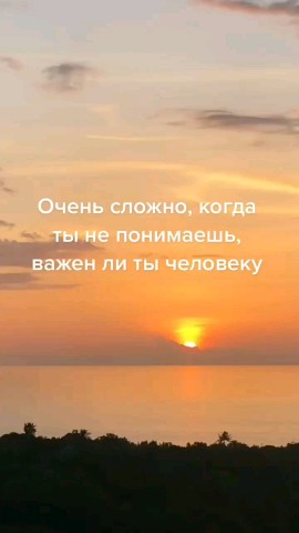 ВОЛК СЕРЫЙ в LOOKY — публикация