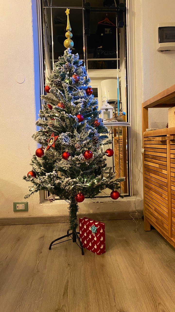 🎄💫