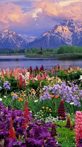 152P в LOOKY. . 