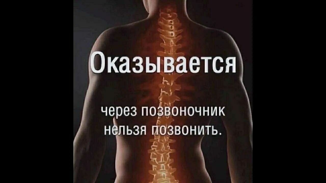 #здоровая_спина