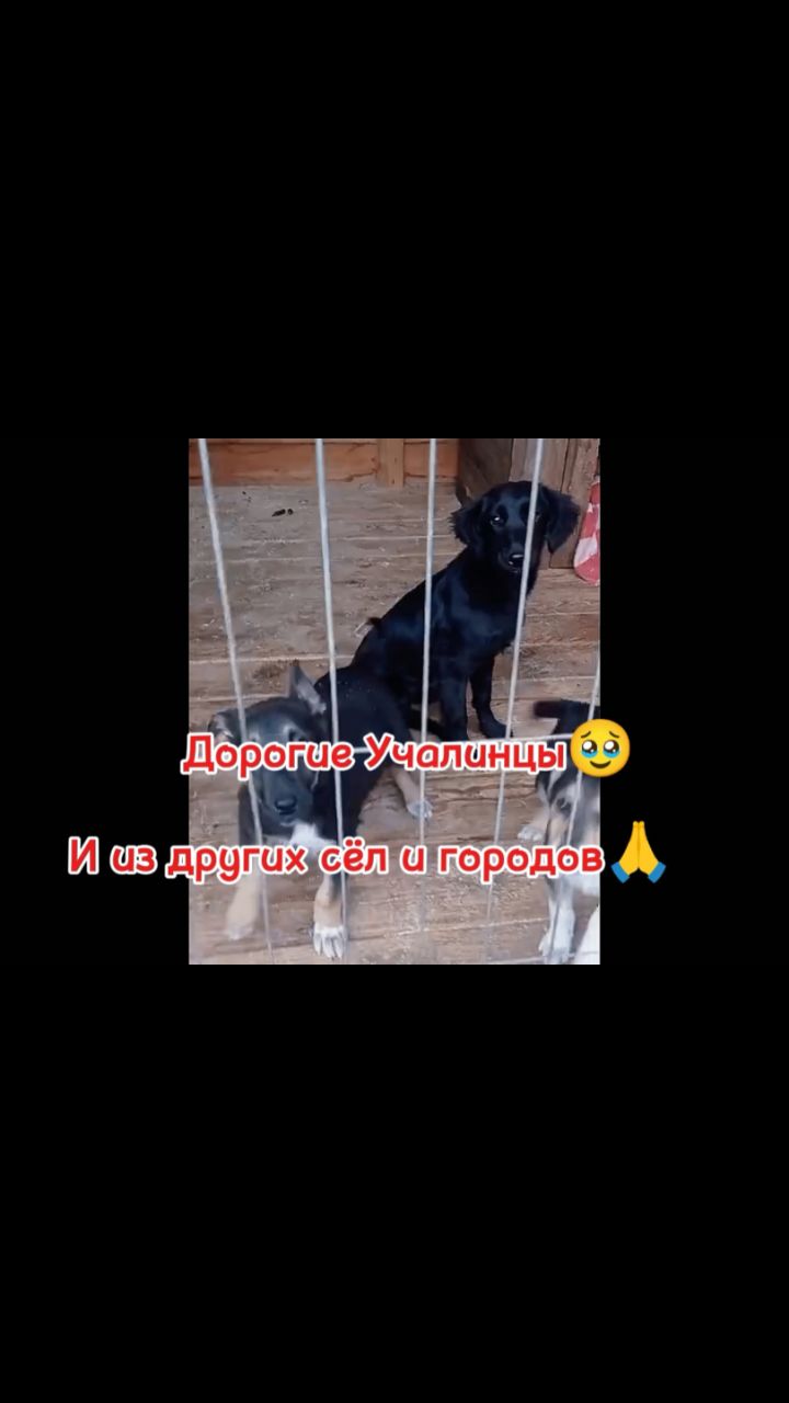 yazgul_suinbaeva в LOOKY. . Наш не государственн...