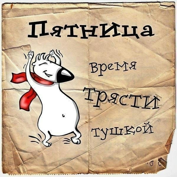 Йииююхууу... Пятничка! 🤩 Мы смогли, мы выжили и дожили!  Устали, но не сломлены, ведь впереди самое интересное 😉 Сегодня планов громадьё, нужно всё успеть, а вечером... 😇 [#утропятницы](утропятницы) [#работауйдинафедота](работауйдинафедота) [#скороотдохнем](скороотдохнем) [#кофеек](кофеек) [#утрободрое](утрободрое) 