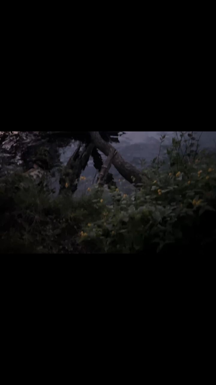 Облачко в LOOKY — публикация