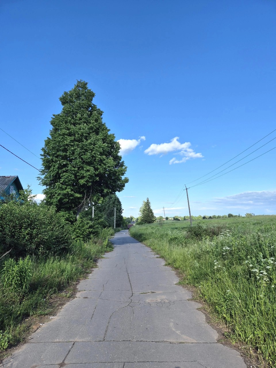 My photos в LOOKY — Новгородская область
#деревня #природа #лето #летовдеревне