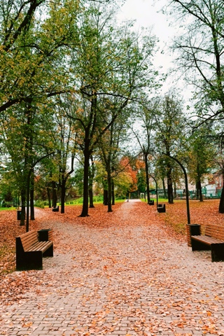casarico в LOOKY. . «Осенний парк, где к...