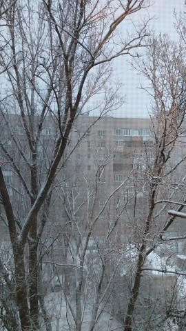Легендарная тупица в LOOKY. #новыйгод2026. #новыйгод2026