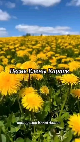 ange в LOOKY. . Видео от Анжелы