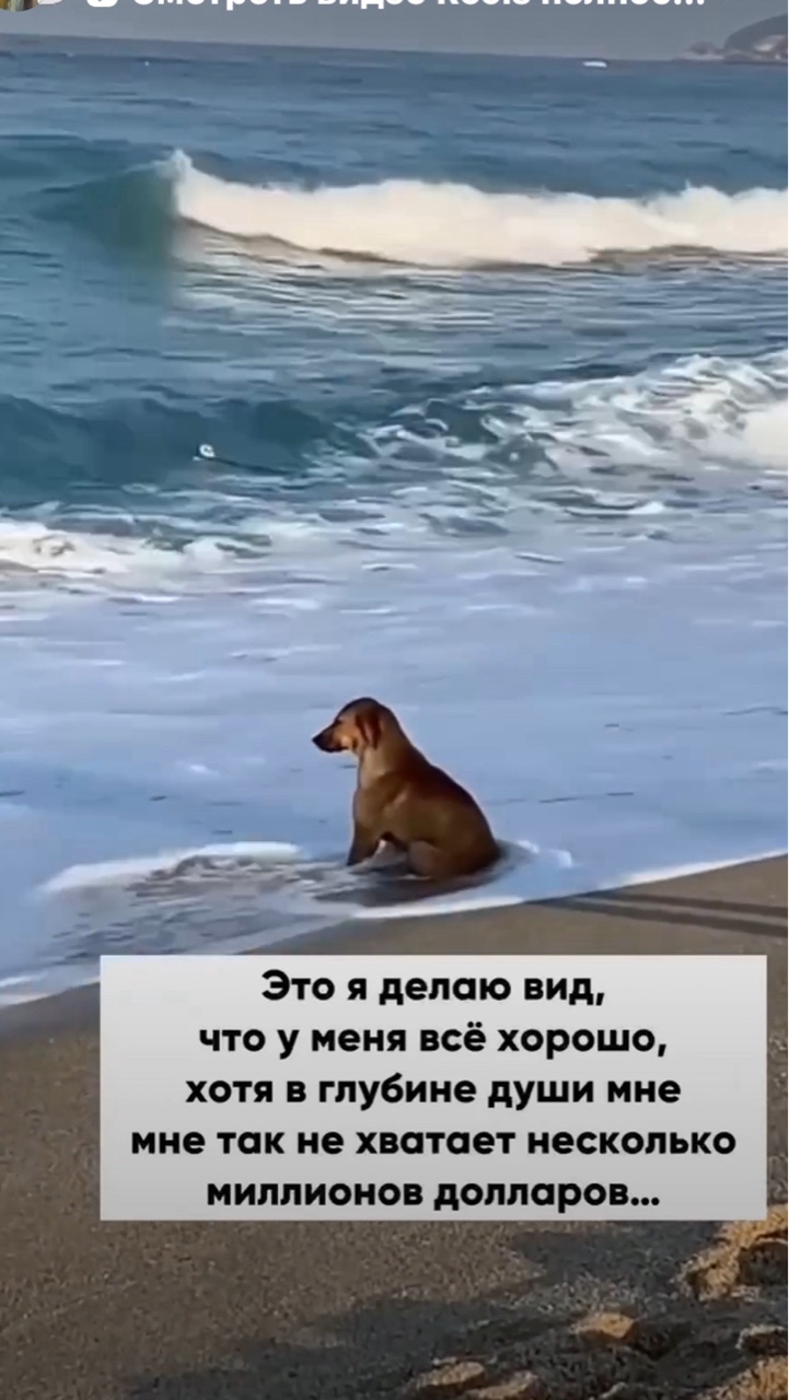 марина назарова в LOOKY