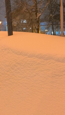  в LOOKY — Последние дни января выдались очень снежные ☃️💠☃️