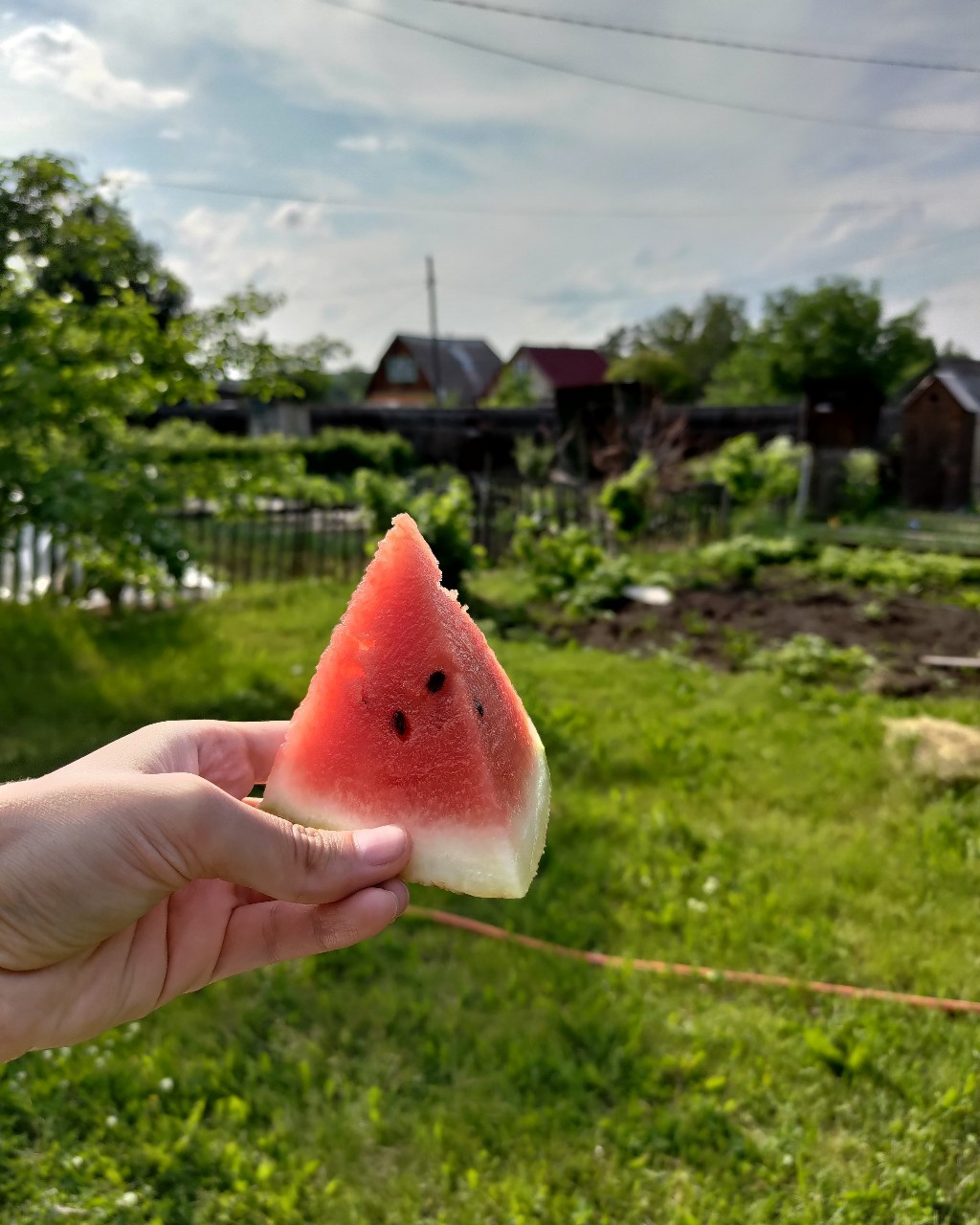 🍉

Небольшой факт о себе: до определенного возраста не любила арбузы, вообще не понимала какое от них можно получать удовольствие. Выбор всегда отдавала дыне. И в один год резко всё изменилось. К дыне стала равнодушна, зато от очередного кусочка арбуза не откажусь🤗🥳😻

[#арбуз](арбуз) [#летняяеда](летняяеда) [#лето](лето) [#лето2023](лето2023) [#загороднаяжизнь](загороднаяжизнь) [#загородныйдом](загородныйдом) [#природа](природа) [#эстетика](эстетика) [#красотавокругнас](красотавокругнас) [#р_е_к_о_м_и_н_д_а_ц_и_и](р_е_к_о_м_и_н_д_а_ц_и_и) [#новаяреальность](новаяреальность) 