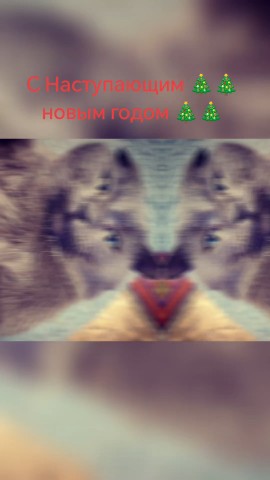 Лика в LOOKY. ##lika##. Всех С Наступающим н...