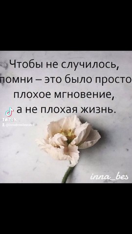 Inna_bres_ в LOOKY. #цитатадня📌,#мояжизнь,#цитатысосмыслом,#цитатадня,#мотивация. #цитатадня📌 #мояжиз...